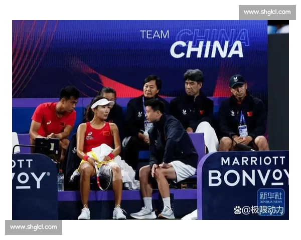 重温网球史上经典对决视频那些改变时代的巅峰时刻全景回顾与热血