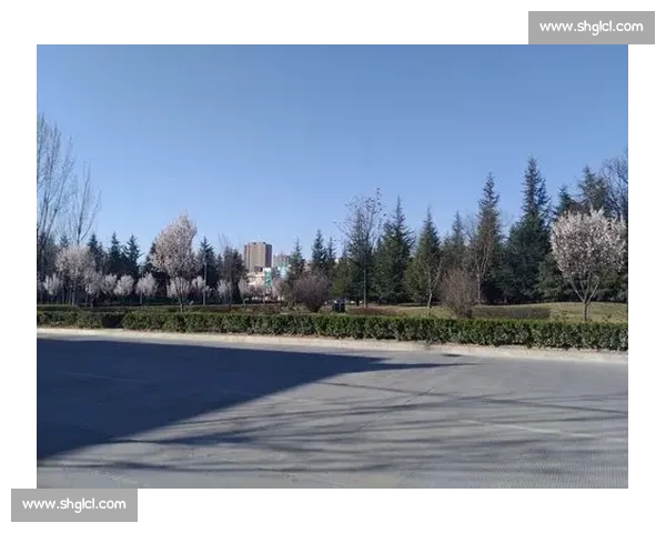 《赌神之巅峰对决:智勇双全的极限较量与人生抉择》