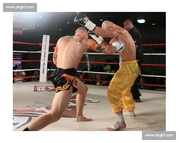 一龙强势回归擂台挑战世界拳王 引发全民热议赛场激烈对决